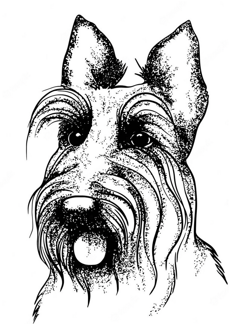 Line drawing of a Scottie dog
